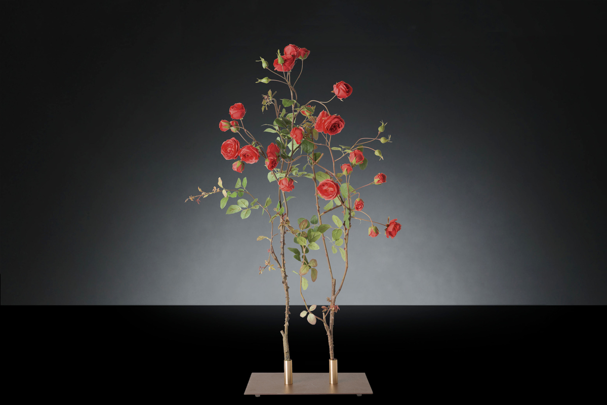 1700218663-1142900.37 RAMO ROSE X 2_2LOW